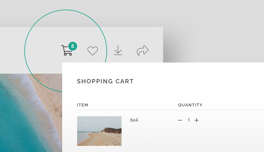 Buy Photos